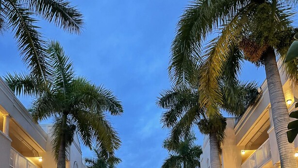 A hotel corridor lined with palm trees and illuminated by warm lighting, leading to a building with multiple balconies.
