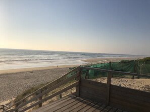 Playa en los alrededores y camastros 