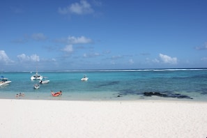 Plage, chaises longues