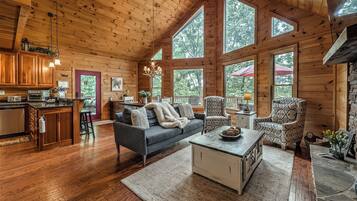 Smart TV, fireplace, video games, computer monitors