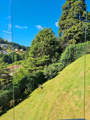 Uma encosta coberta por vegetação densa e um céu azul límpido.