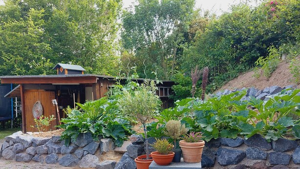 A garden area with a wooden structure, potted plants, and a stone wall. - Cozy vacation apartment between Moselle and Rhine, near various dream loops and castles (Brodenbach)