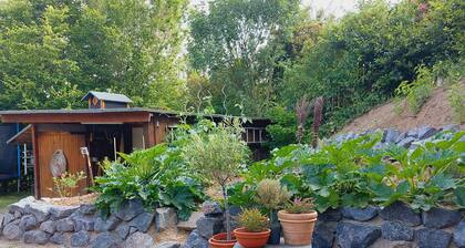 Cozy vacation apartment between Moselle and Rhine, near various dream loops and castles