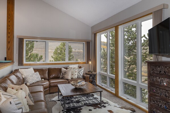 TV connectée, cheminée, livres, chaîne hi-fi