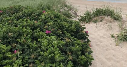 5 Min Walk to Nauset Beach, Heated Pool & Hot Tub