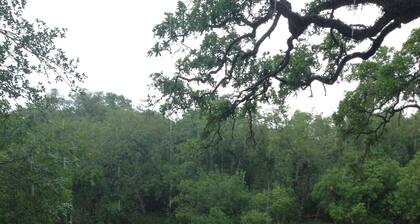 Charming Riverside Home w/ Deck and Fishing. 15 minutes to STP and Bechtel.