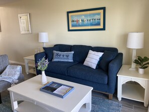 Smart TV, DVD player, books, computer monitors
