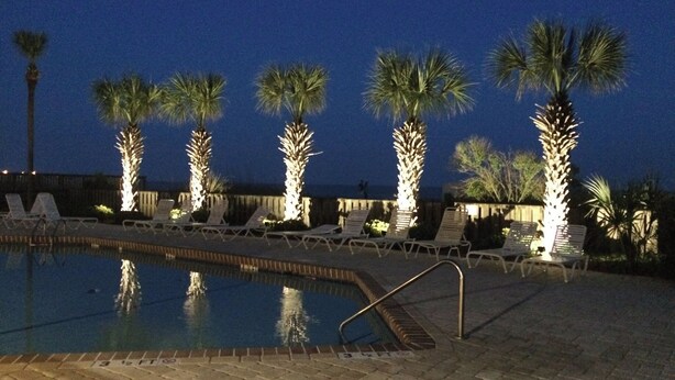 A nighttime pool area with lounge chairs and palm trees, surrounded by a brick wall.
