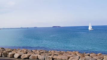 Playa en los alrededores