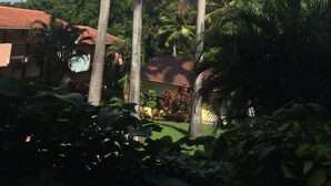 Tall palm trees in a garden with a house in the background.