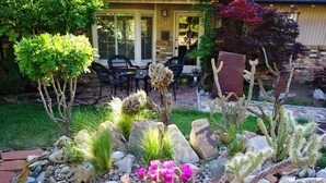 Un jardín con diversos cactus y suculentas, un patio con sillas y una casa al fondo.