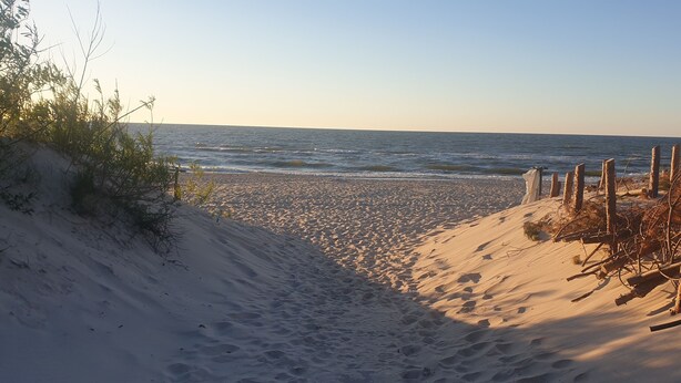 Une plage de sable offrant une vue dégagée sur l’océan.