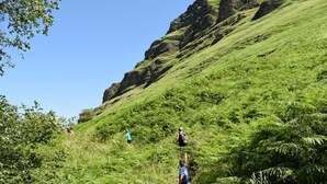 Un paisaje montañoso con vegetación verde exuberante y un cielo azul despejado.