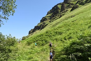 Un paisaje montañoso con vegetación verde exuberante y un cielo azul despejado.