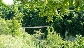 Un puente colgante en un área boscosa.