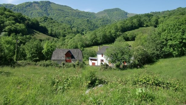 Un paysage rural avec deux maisons entourées d’une végétation luxuriante et des collines en arrière-plan.