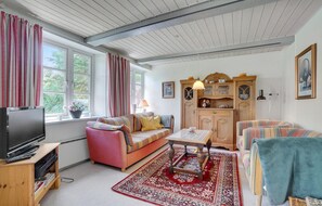 تلفزيون، مدفأة