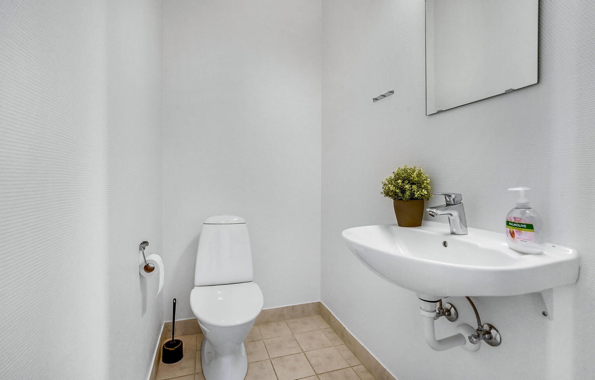 A small, clean bathroom with a toilet, sink, and a potted plant.