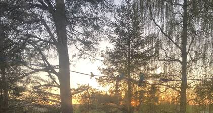 Surrounded by nature in Bjurholm