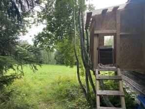 Property grounds - Surrounded by nature in Bjurholm (Västerbottens län)