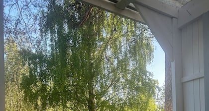 Surrounded by nature in Bjurholm