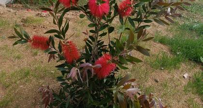 Maison à la campagne climatisé avec piscine Domaine de Moïse