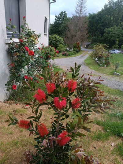 Air-conditioned country house with swimming pool Domaine de Moïse 