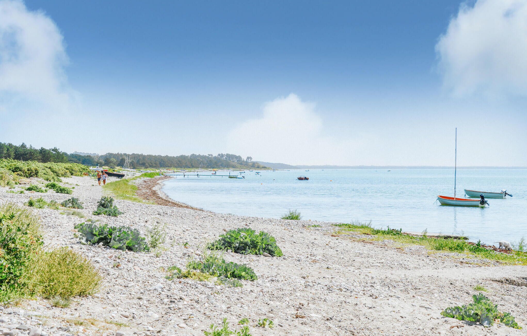 Beach nearby, fishing