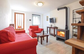 Smart-TV, Kamin