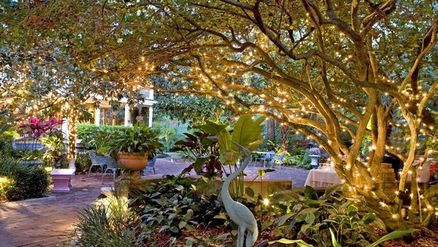 A garden with a statue, potted plants, and string lights. - Courtyard at Lake Lucerne (Orlando)