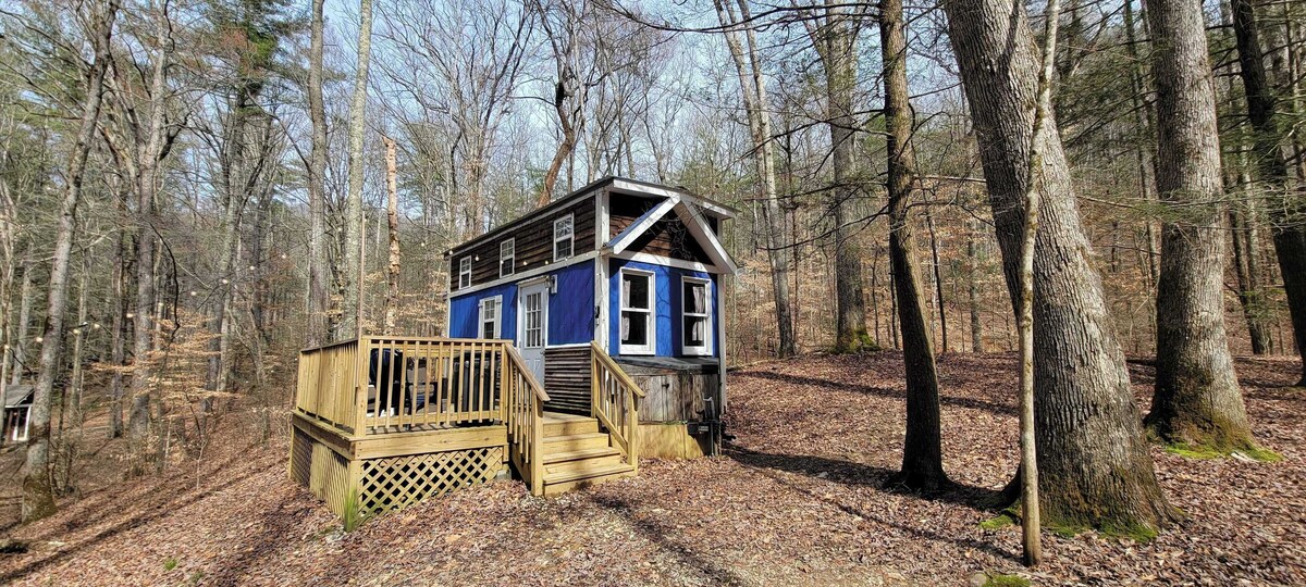 Imagen de perfil del propietario o de la propietaria