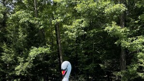 Una piscina con un flotador decorativo con forma de cisne.