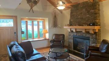 TV connectée, cheminée, lecteur de DVD