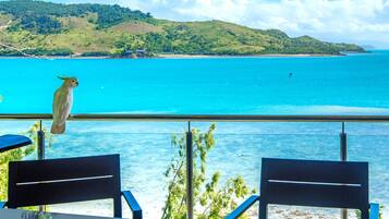 Apartment | Water view