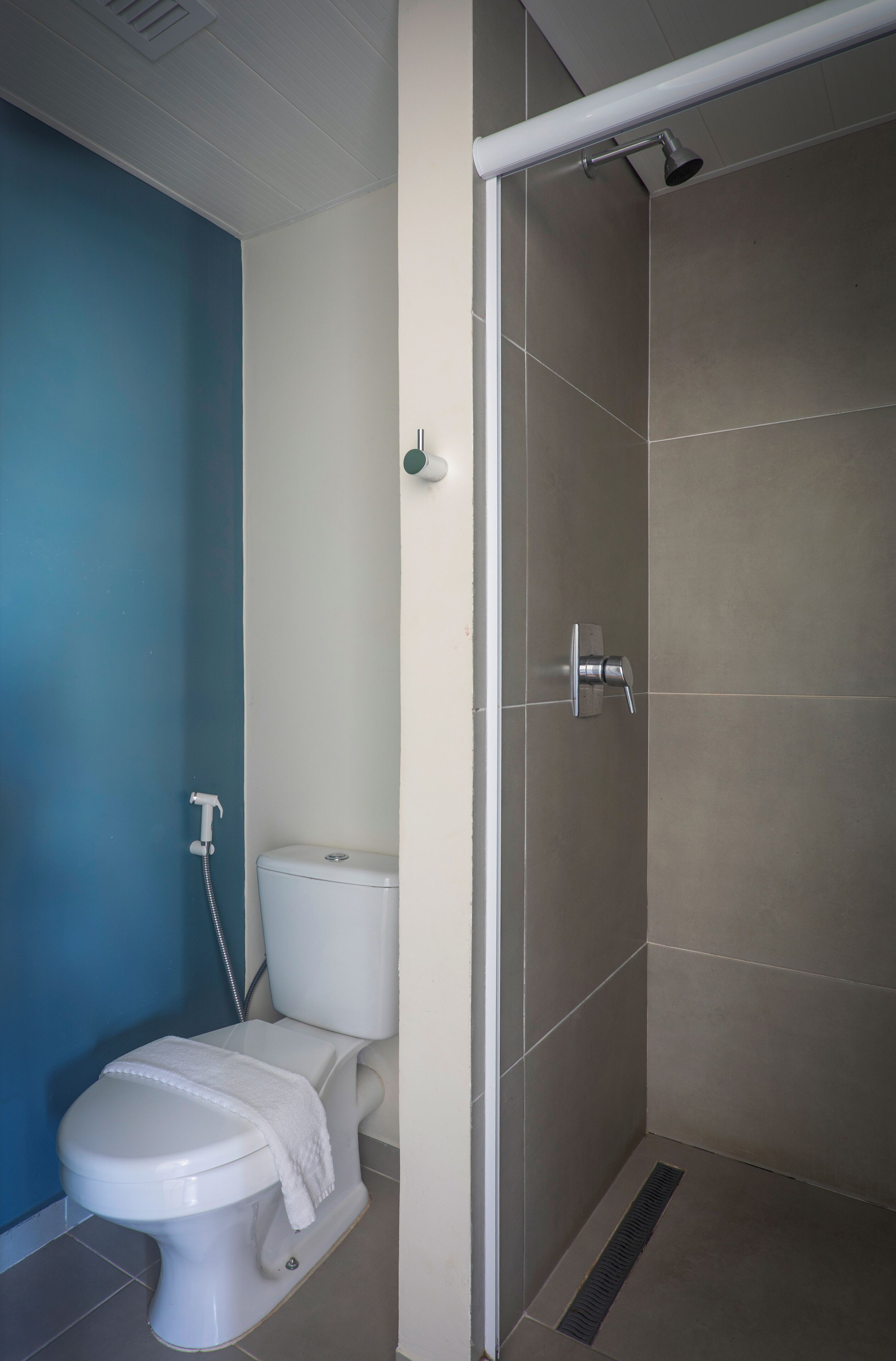 A bathroom with a toilet, a shower, and a blue wall.