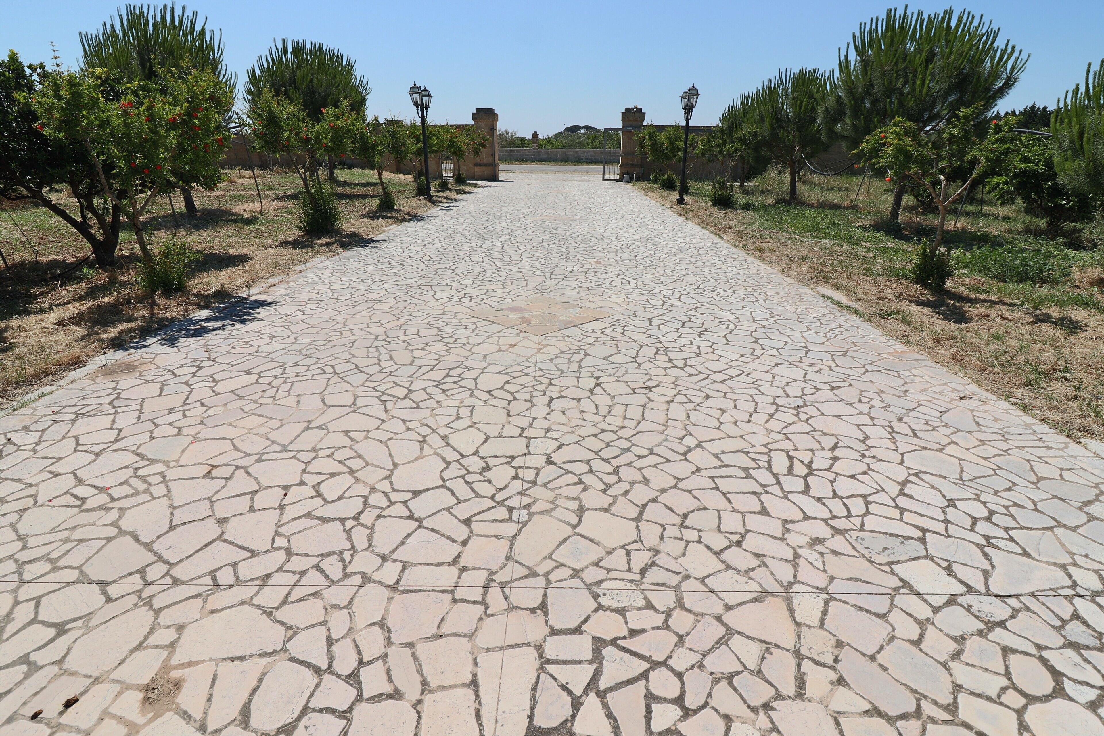 منوع