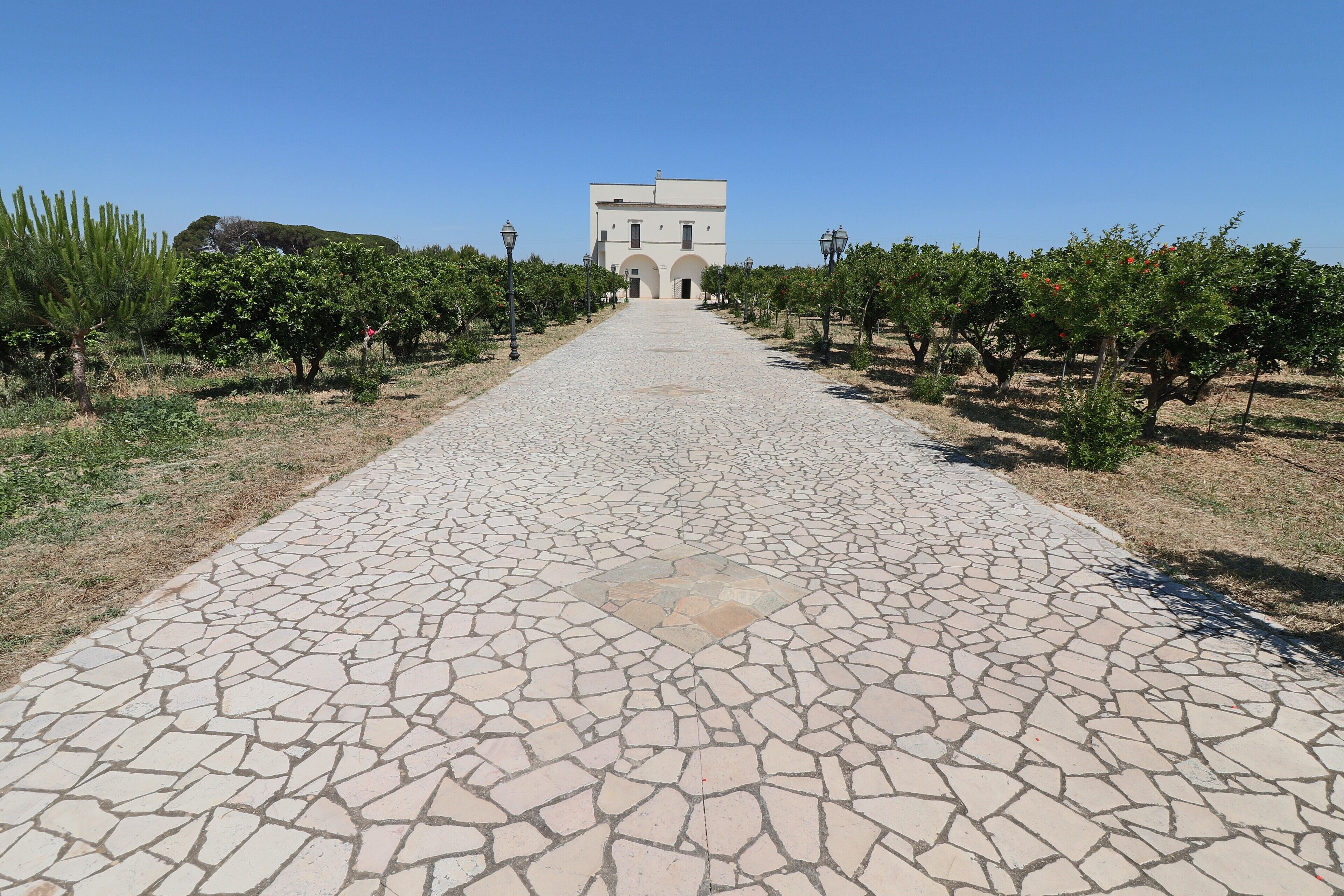 A paved pathway leading to a building with arched entrances, surrounded by rows of trees and shrubs.