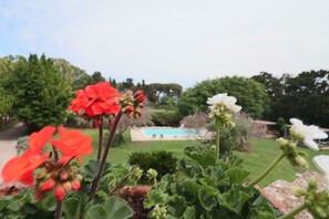 A garden with red and white flowers, a brick wall, and a pool in the background.