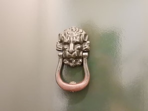 A metallic door knocker with a lion's head design.