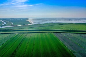 Immagine non classificata, 3 di 60, pulsante