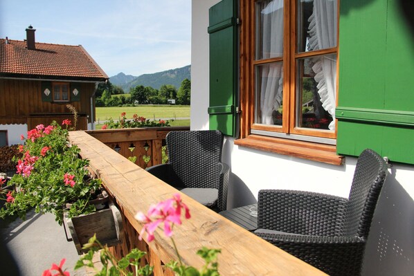 Terraza o patio