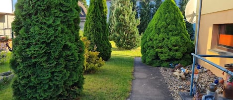 Áreas de la propiedad