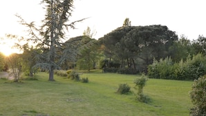 A grassy field with trees and a hill in the background.