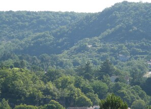 Aerial view - Le Sapin B : Mooie Vakantiewoning met Zwembad in de Ardèche (Chassagnes)