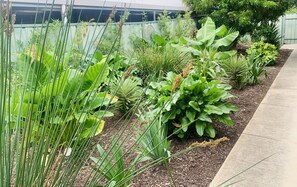 المنطقة المحيطة بالمنشأة