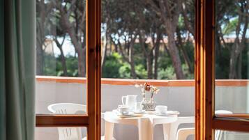 Camera Classic, 1 letto queen, balcone, vista parco | Terrazza/patio