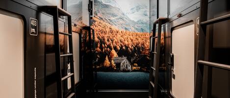 Interior de un vagón de tren con compartimentos para equipaje y un mural paisajístico de un bosque y montañas.
