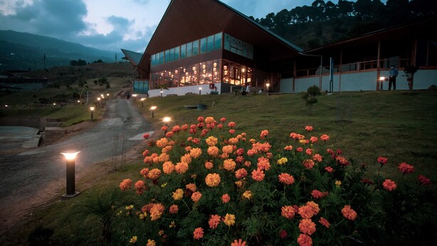 Un edificio moderno con amplios ventanales y un techo inclinado, rodeado de un jardín cuidado con flores de tagetes.