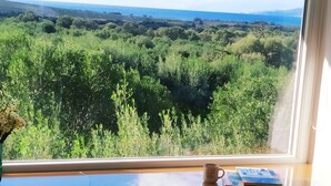 A room with a large window overlooking a lush green landscape.