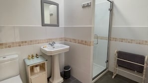 A bathroom with a toilet, sink, and shower area. - 1-bed Sunny Studio Apartment in Tregony, Truro (Truro)